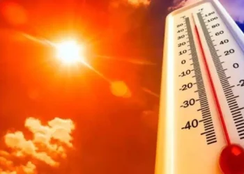 Académico advierte sobre cómo las olas de calor impactan la salud mental