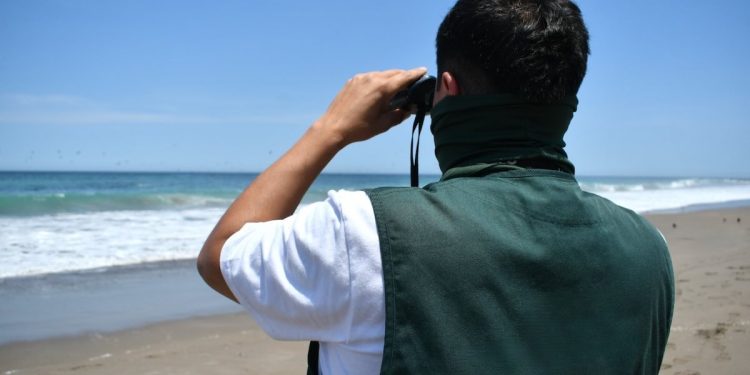 Desarrollarán innovadora plataforma para la conservación de Ecosistemas Marinos de Tarapacá