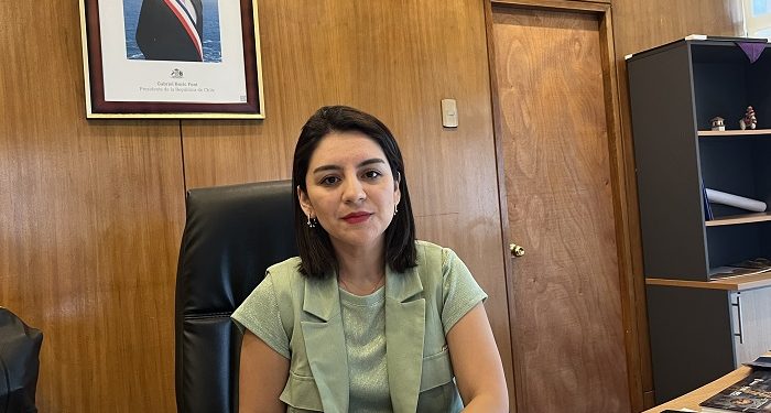 Un Estado más fuerte para enfrentar la delincuencia