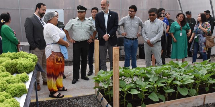 Autoridades locales visitaron centro hidropónico del CCP Iquique