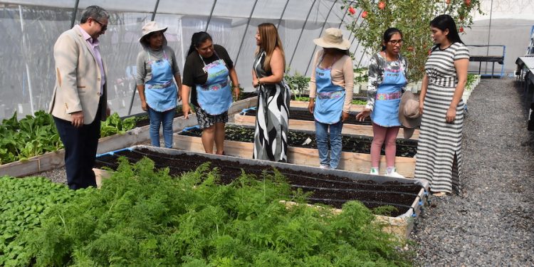 Presidentes de Comisión de Seguridad e Infraestructura del CORE comprometieron apoyar a Gendarmería