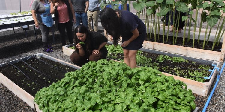 Comitiva de la gerencia de Operaciones de ZOFRI conoció realidad del CCP Iquique