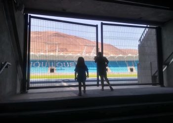 El gran Elefante por Sonia Pereira Torrico
