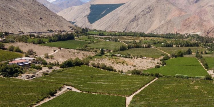 El pisco chileno avanza hacia el reconocimiento mundial: se aprueba su inclusión en la Lista Tentativa de UNESCO