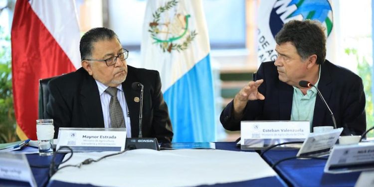 Chile y Guatemala fortalecen lazos de cooperación en agricultura y productividad