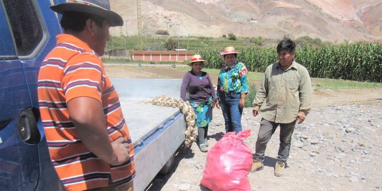 Programa de Garantías Corfo benefició a 577 Pymes de Tarapacá en 2024