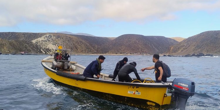 Volcamiento de embarcación menor «Eduardo II»