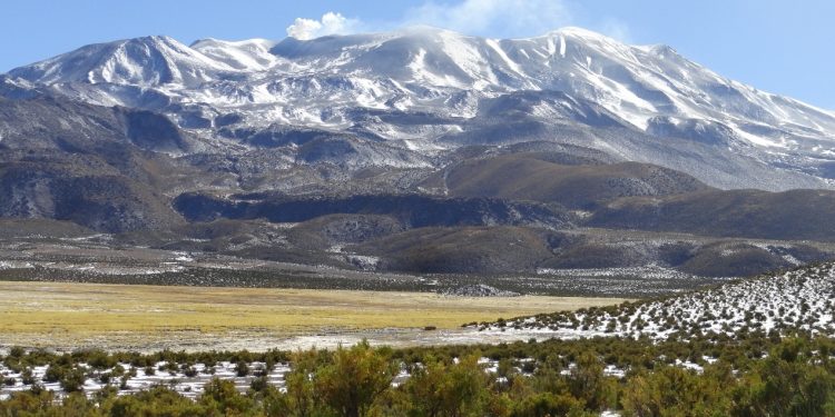 CONAF se querella por delito ambiental tras daños dentro del Parque Nacional Volcán Isluga