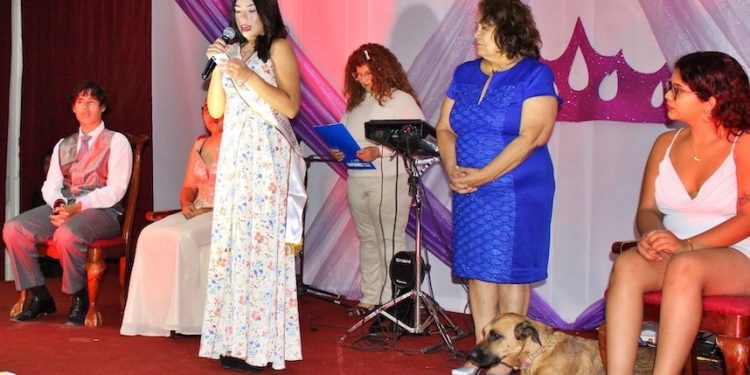 Pica y Matilla finalizaron con éxito sus tradicionales Carnavales de Verano