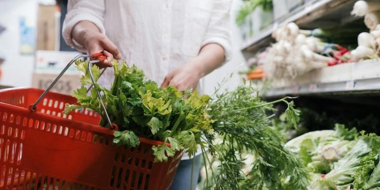 Altas temperaturas y alimentos: Evita intoxicaciones por comida en mal estado