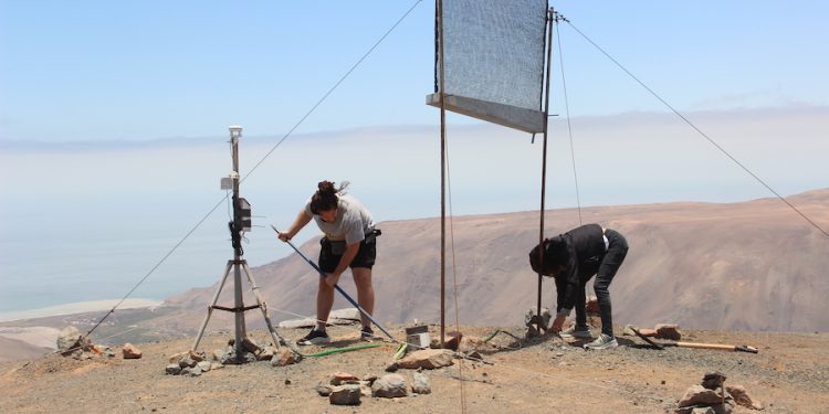 Desarrollan aplicación digital para difundir beneficios del uso del agua de niebla a agricultores del desierto