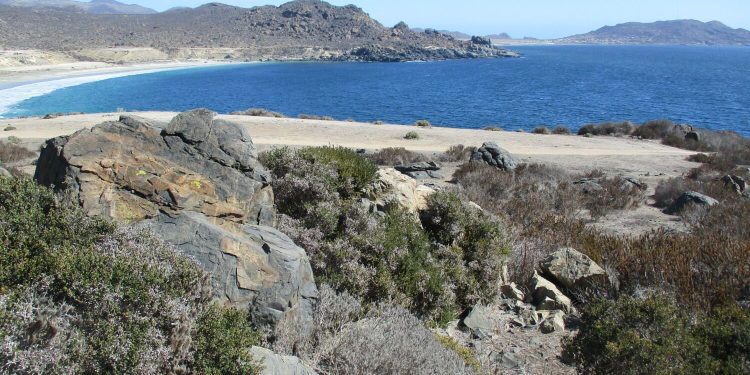 Primer Tribunal Ambiental confirma declaración del Santuario de la Naturaleza Cruz Grande