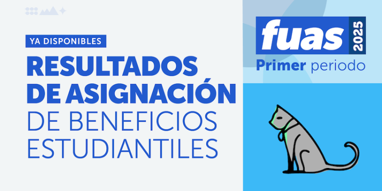 Mineduc publica primeros resultados de beneficios estudiantiles para la Educación Superior en 2025 y abre etapa de apelación on line