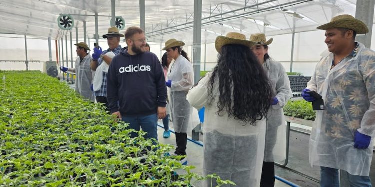 Agricultores regresaron de España cargados de aprendizajes para producir hortalizas más limpias