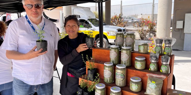 En acto del Día de la Mujer usuarias de INDAP brillaron con Mercado Campesino