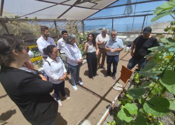 Inician instalación de huertos escolares en Pica, La Tirana, Huara, Camiña y Colchane