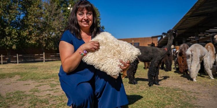 Gobierno invierte $250 millones para impulsar la artesanía en Chile