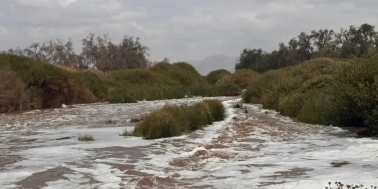 Se actualiza Alerta Temprana Preventiva para la Provincia del Tamarugal por evento meteorológico