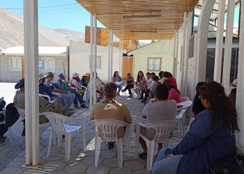 Avanza con éxito campaña de erradicación de mosca de la fruta en quebrada de Miñi Miñe