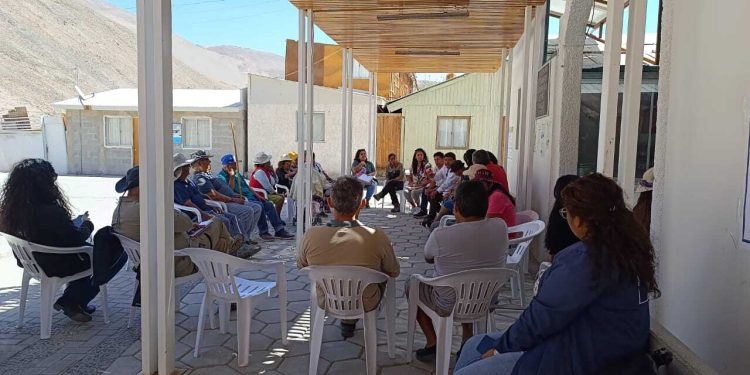 Avanza con éxito campaña de erradicación de mosca de la fruta en quebrada de Miñi Miñe