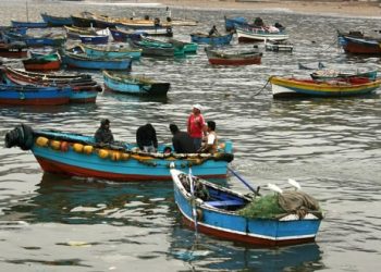 Hernán Cortés: “Senador Kast fue irrespetuoso con el Subsecretario de Pesca y está bloqueando el fraccionamiento”