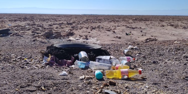 CONAF Tarapacá invita a celebrar el Día de la Tierra por partida triple