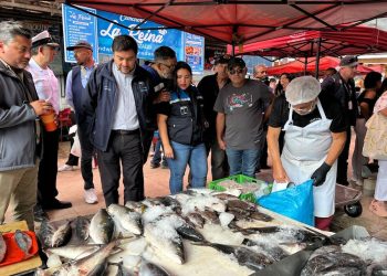 Masiva fiscalización a pescados y mariscos en caleta Riquelme