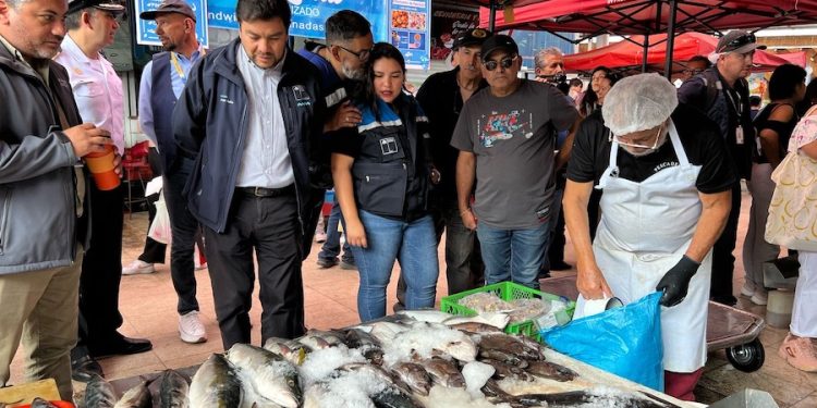 Masiva fiscalización a pescados y mariscos en caleta Riquelme