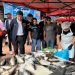 Masiva fiscalización a pescados y mariscos en caleta Riquelme