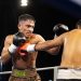 Nueva noche de boxeo profesional gratis en Arena Cavancha