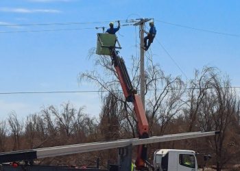 Robo de cables eléctricos