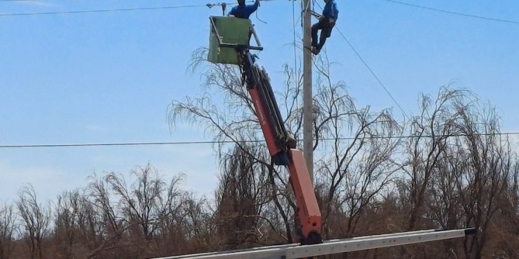 Robo de cables eléctricos