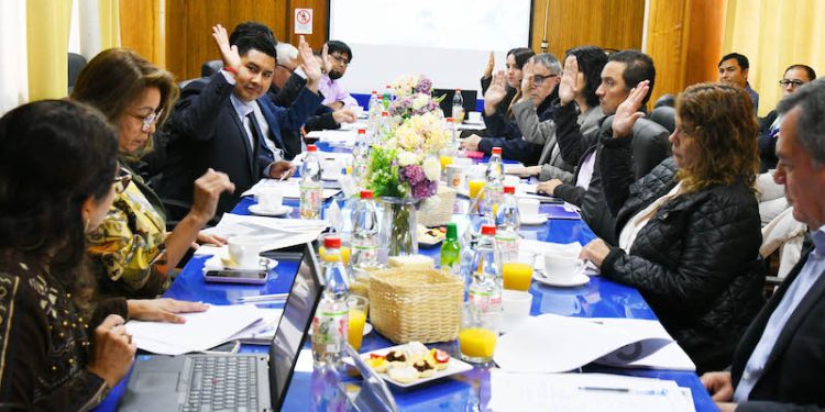 Comité de Desarrollo Productivo de Arica y Parinacota aprobó presupuesto 2025