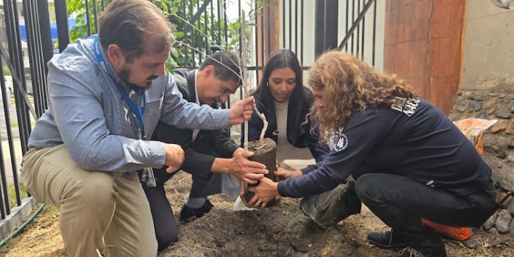 CONAF Tarapacá avanza en Estado Verde con firma de convenio con Asociación Gremial de Recicladores