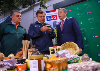 Advierten sobre sitios web falsos que cobran por trámite gratuito de la Declaración Jurada de ingreso a Chile