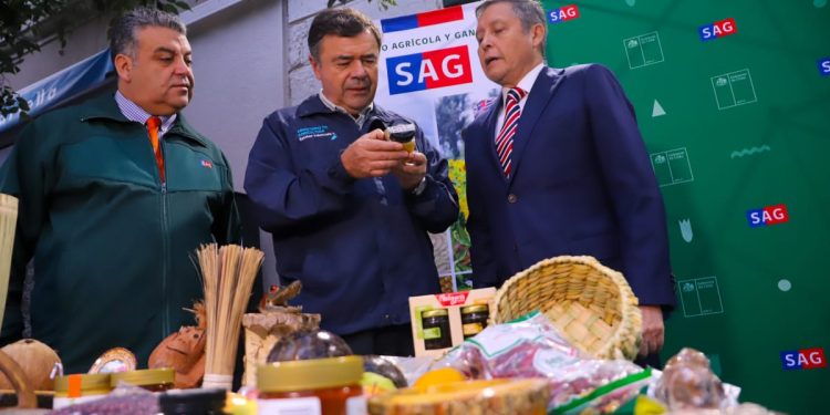 Advierten sobre sitios web falsos que cobran por trámite gratuito de la Declaración Jurada de ingreso a Chile