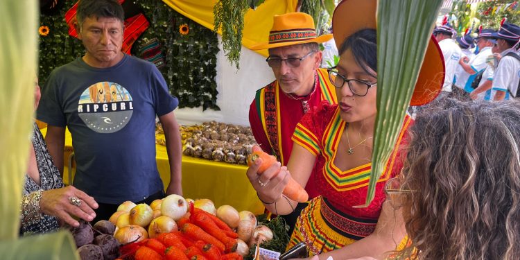 INDAP destacó presencia de sus usuarios productores de choclo y ajo en Festividad Camiñana