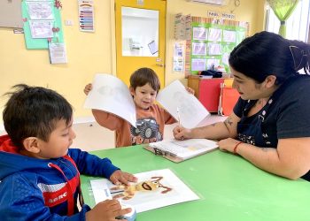 Coloridos títeres enseñan prevención de enfermedades a párvulos de Alto Hospicio