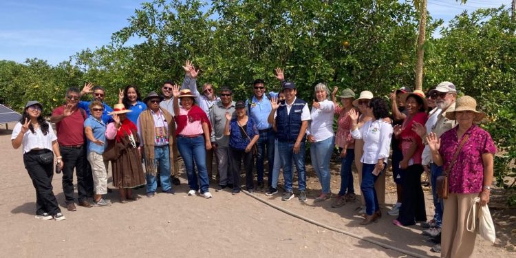 Fundación Reverdesierto: Chile impulsa una moda “Basura Cero”