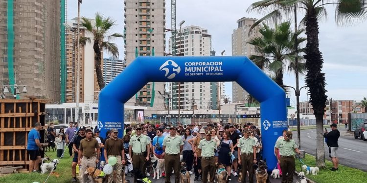Carabineros de Tarapacá invita a participar en la caminata canina familiar