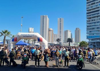 Alta convocatoria en caminata canina de Carabineros