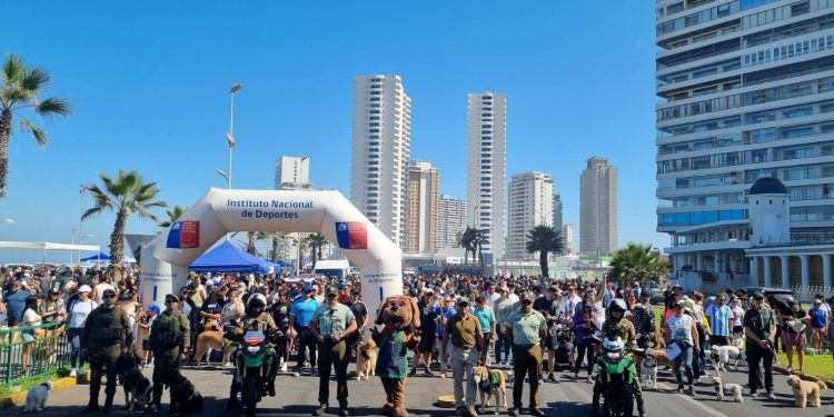 Alta convocatoria en caminata canina de Carabineros
