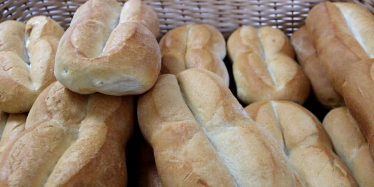 FNE acusa a panaderos industriales de Iquique por colusión en el mercado de elaboración y comercialización mayorista del pan