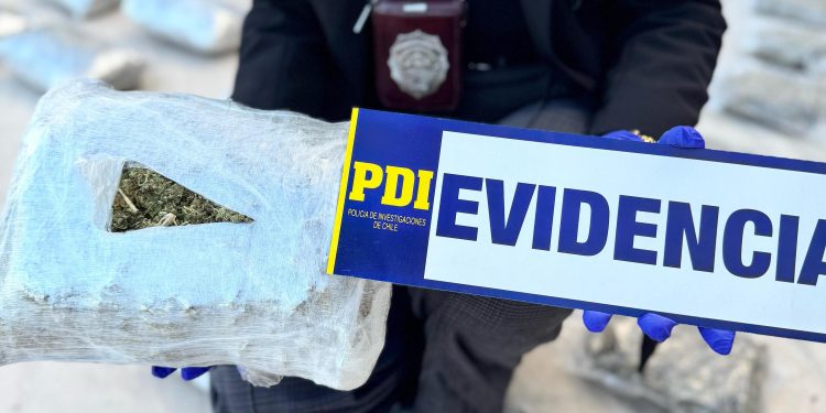 Golpe al narcotráfico: Brigada Antinarcóticos de Calama incauta más de 90 kilos de cannabis