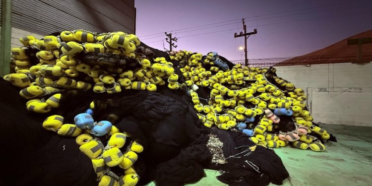 Incautan redes de pesca en Iquique por captura de especies no autorizadas