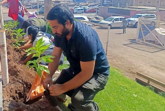 CONAF Tarapacá celebró 55 años con forestación participativa