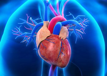 Hipertensión, una amenaza silenciosa para la salud cardiovascular