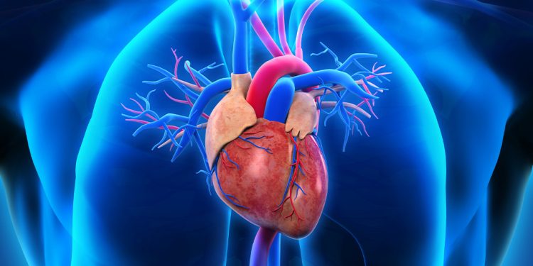 Hipertensión, una amenaza silenciosa para la salud cardiovascular