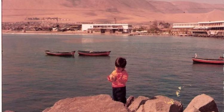 Al Abordaje, por Sonia Pereira Torrico