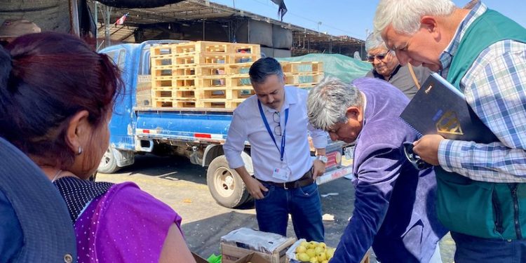 SAG y Agrícola del Norte refuerzan coordinación para erradicación de la mosca de la fruta en la región